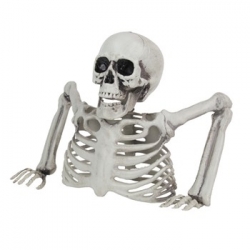 Squelette Mort Vivant taille 25 cm - Halloween