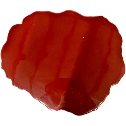 Flaque de Sang en Résine Souple 40cm